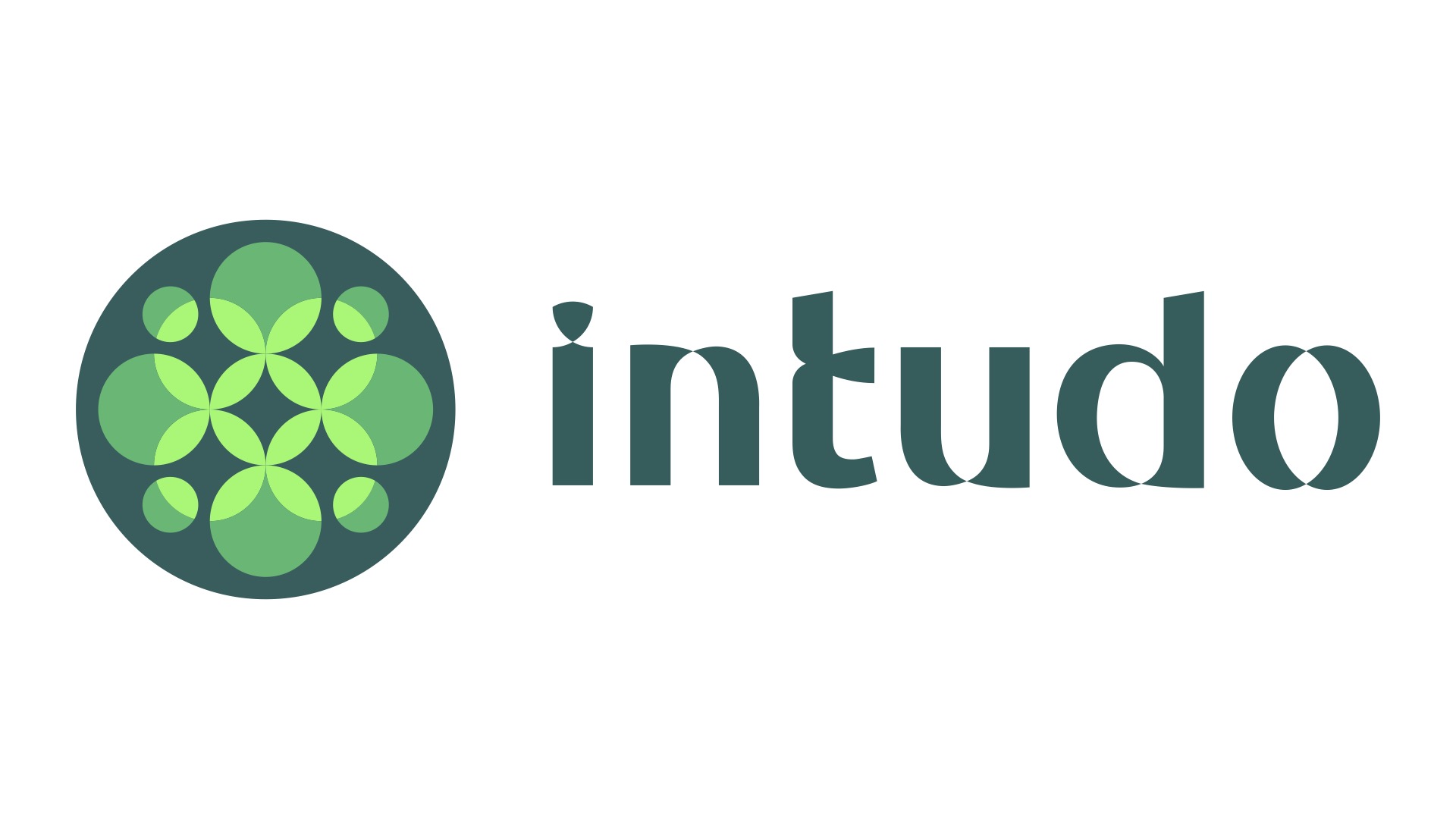 Intudo Ventures